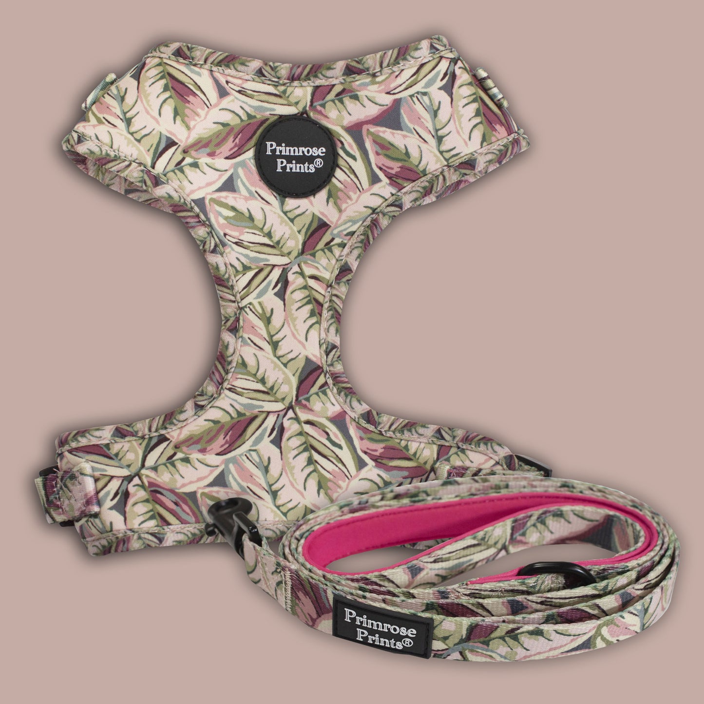 SALE! Rubber Plant Print Puppy Dog Harness and Lead Set.