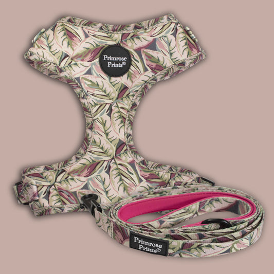 SALE! Rubber Plant Print Puppy Dog Harness and Lead Set.