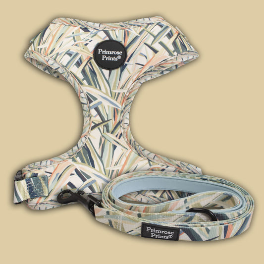 SALE! Yucca Plant Print Puppy Dog Harness and Lead Set.