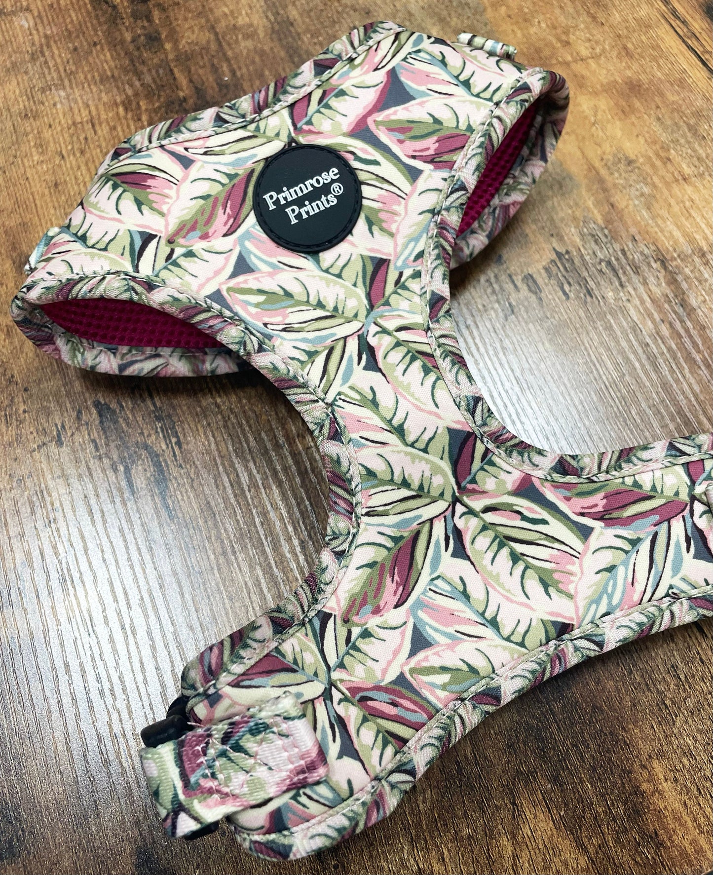 SALE! Rubber Plant Print Puppy Dog Harness and Lead Set